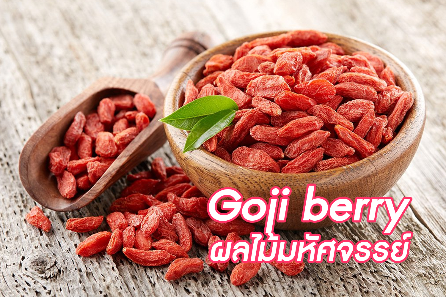 Goji berry ผลไม้มหัศจรรย์