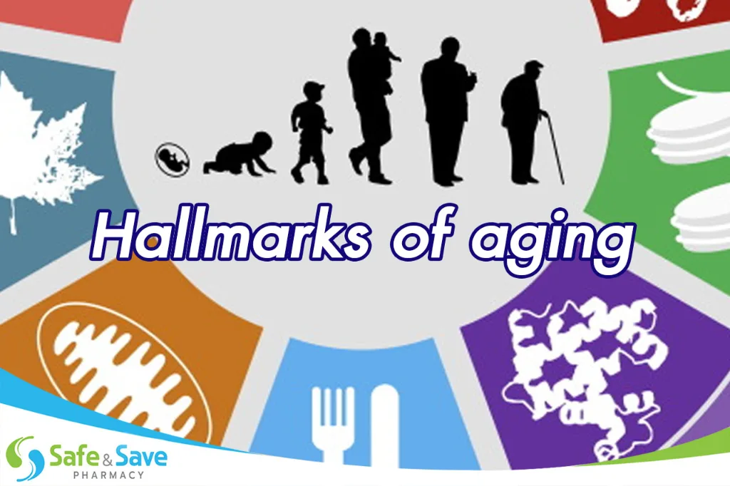 9 กลไกของความชรา และวิธีชะลอวัยด้วยวิทยาศาสตร์ "Hallmarks of Aging"