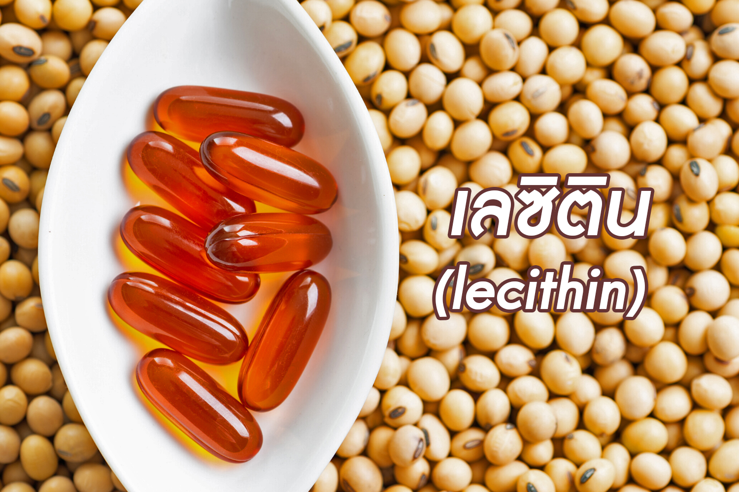 เลซิติน-Lecithin
