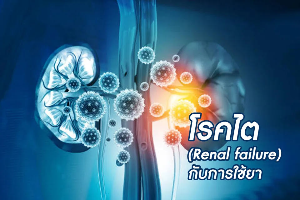 <em>โรคไต (Renal failure) กับการใช้ยา</em>
