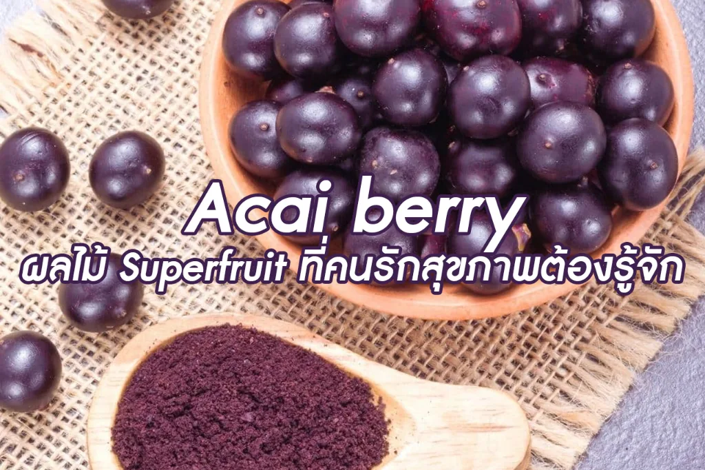 Acai berry ผลไม้ superfruit ที่คนรักสุขภาพต้องรู้จัก!!