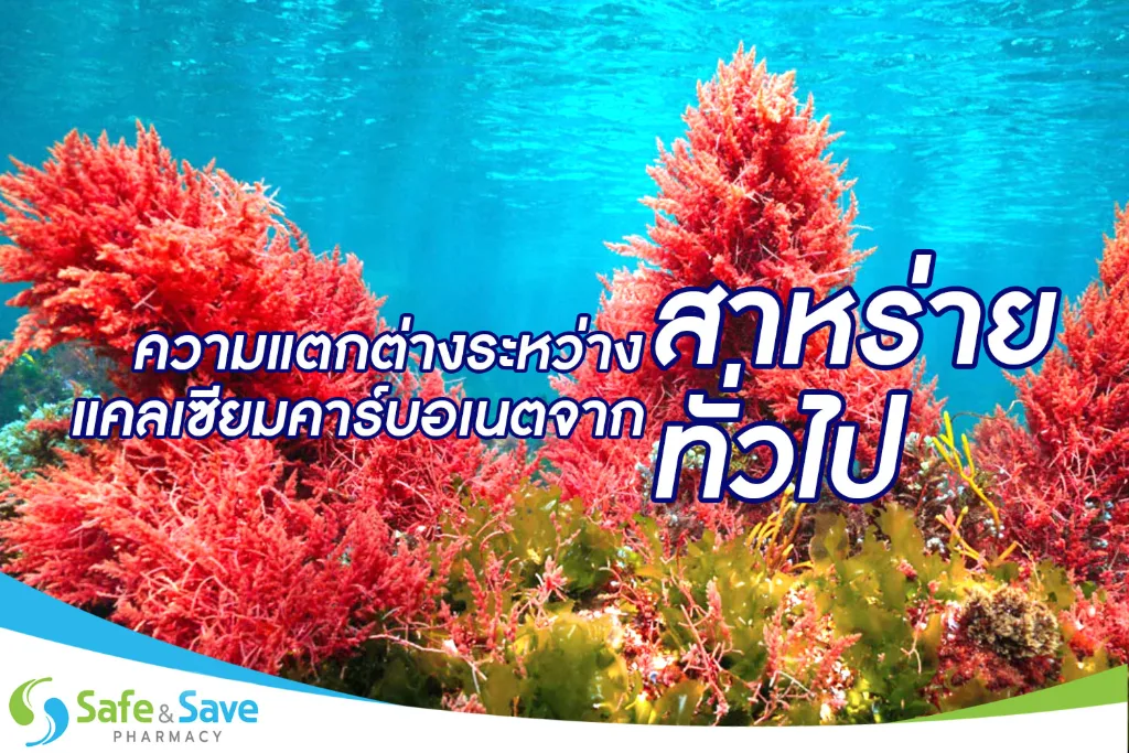ความแตกต่างของแคลเซียมคาร์บอเนตจากสาหร่าย กับ แคลเซียมคาร์บอเนตทั่วไป