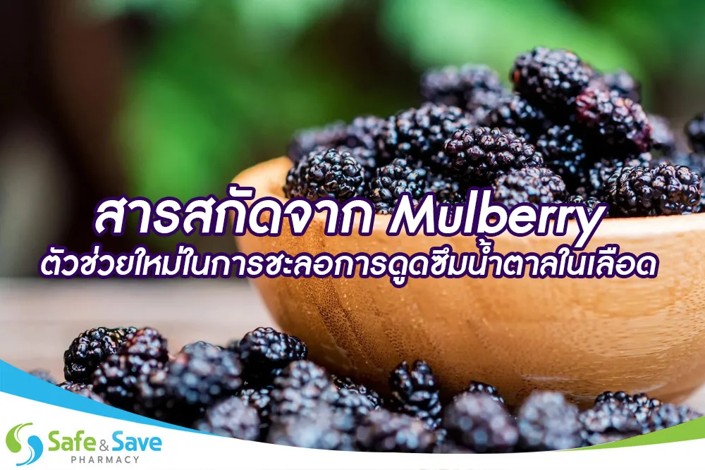 สารสกัดจาก Mulberry...ตัวช่วยใหม่ในการชะลอการดูดซึมน้ำตาลในเลือด