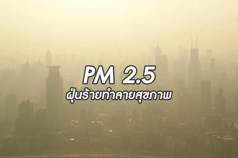 PM 2.5 ฝุ่นร้ายทำลายสุขภาพ