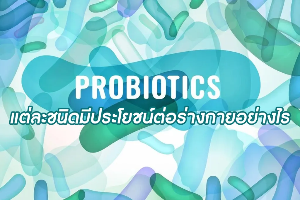Probiotics แต่ละชนิดมีประโยชน์ต่อร่างกายอย่างไร
